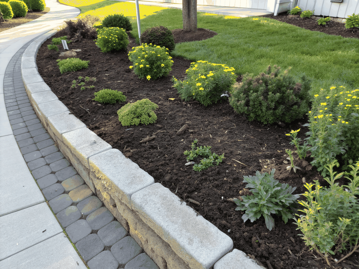 Contemporary Foundation Bed Redesign