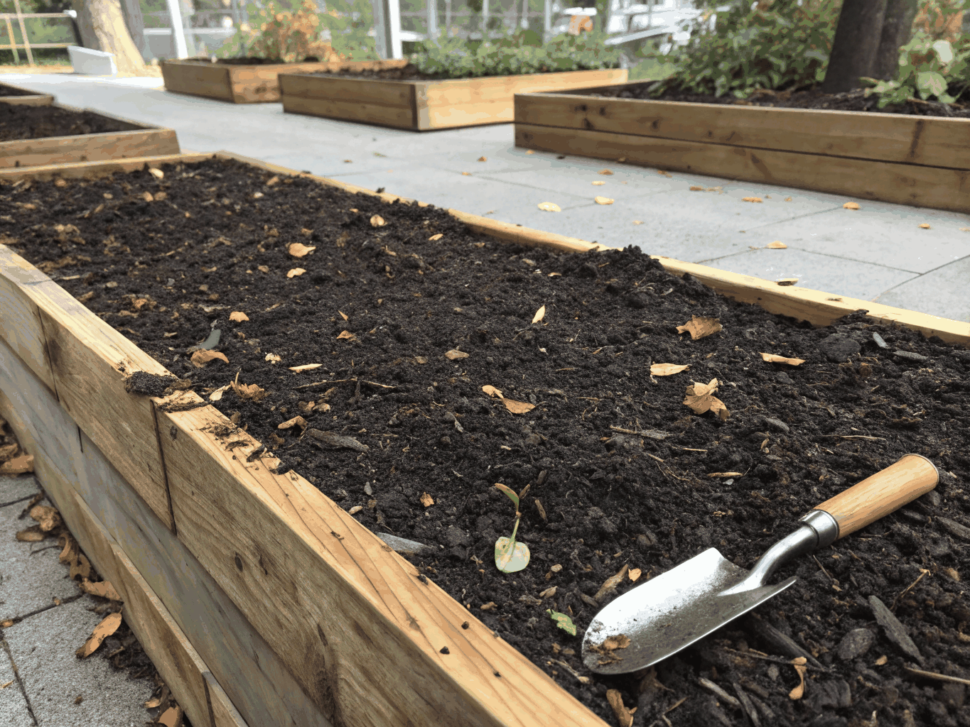 Freshly mulched garden bed with rich dark hardwood mulch and sharp edging